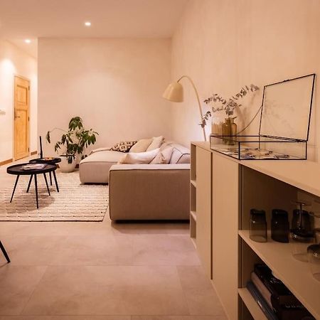 Appartement Met Tuin In Haarlem Centrum Εξωτερικό φωτογραφία