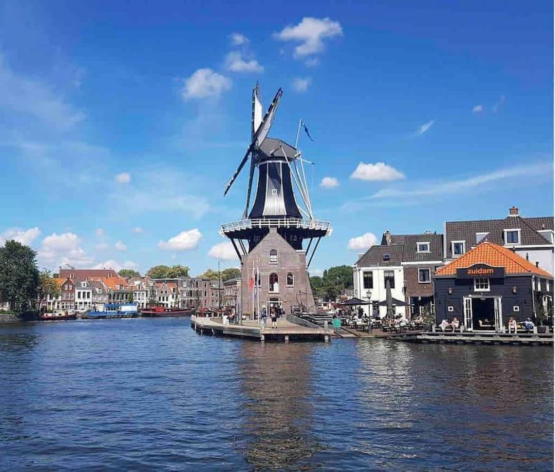 Appartement Met Tuin In Haarlem Centrum Εξωτερικό φωτογραφία