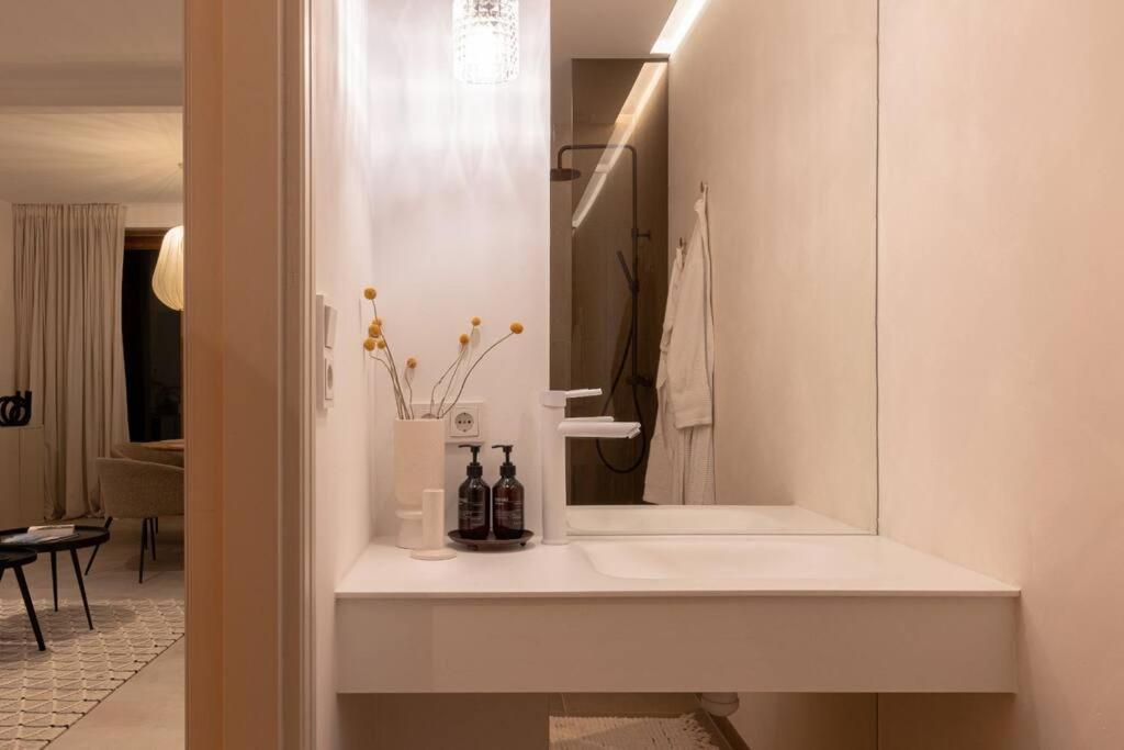 Appartement Met Tuin In Haarlem Centrum Εξωτερικό φωτογραφία