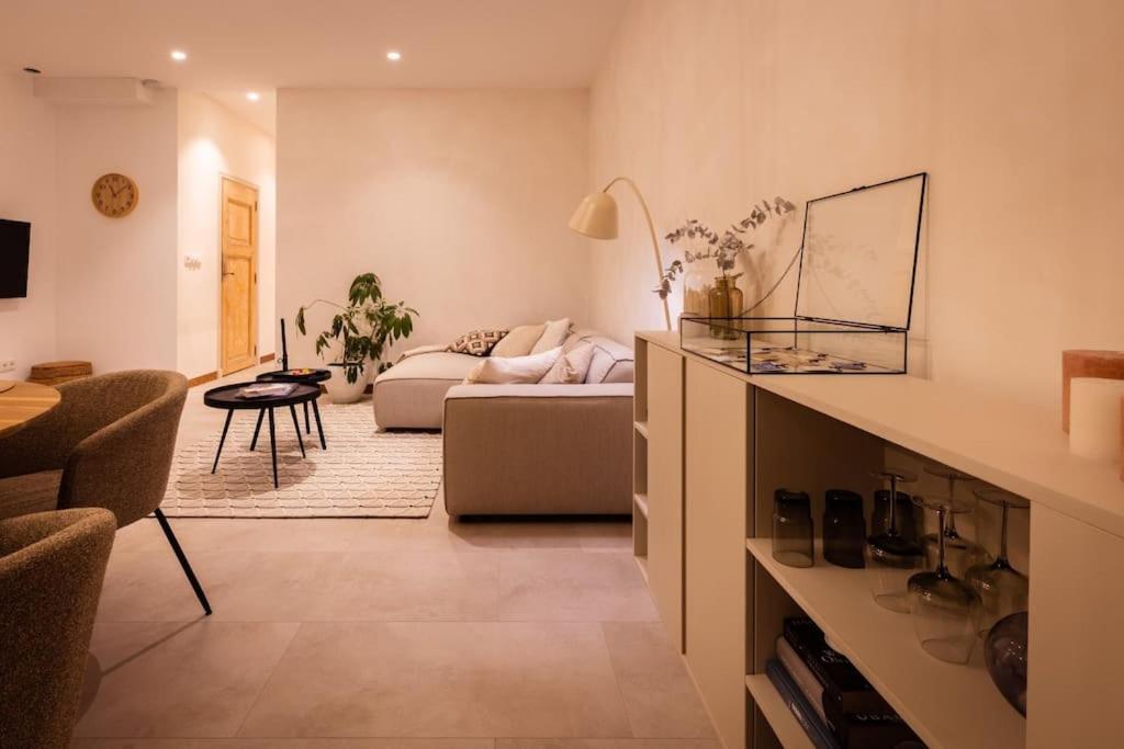 Appartement Met Tuin In Haarlem Centrum Εξωτερικό φωτογραφία